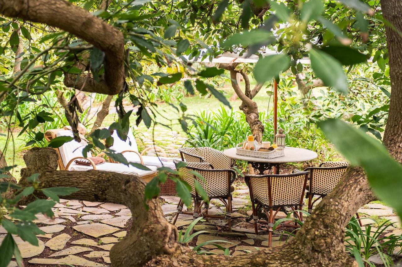 Homeforguest Rural House With Garden El Laurel Tacoronte Eksteriør bilde